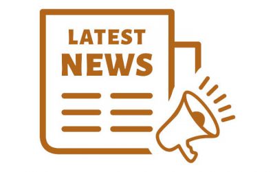 The Primary School Survey – our school’s results and next steps